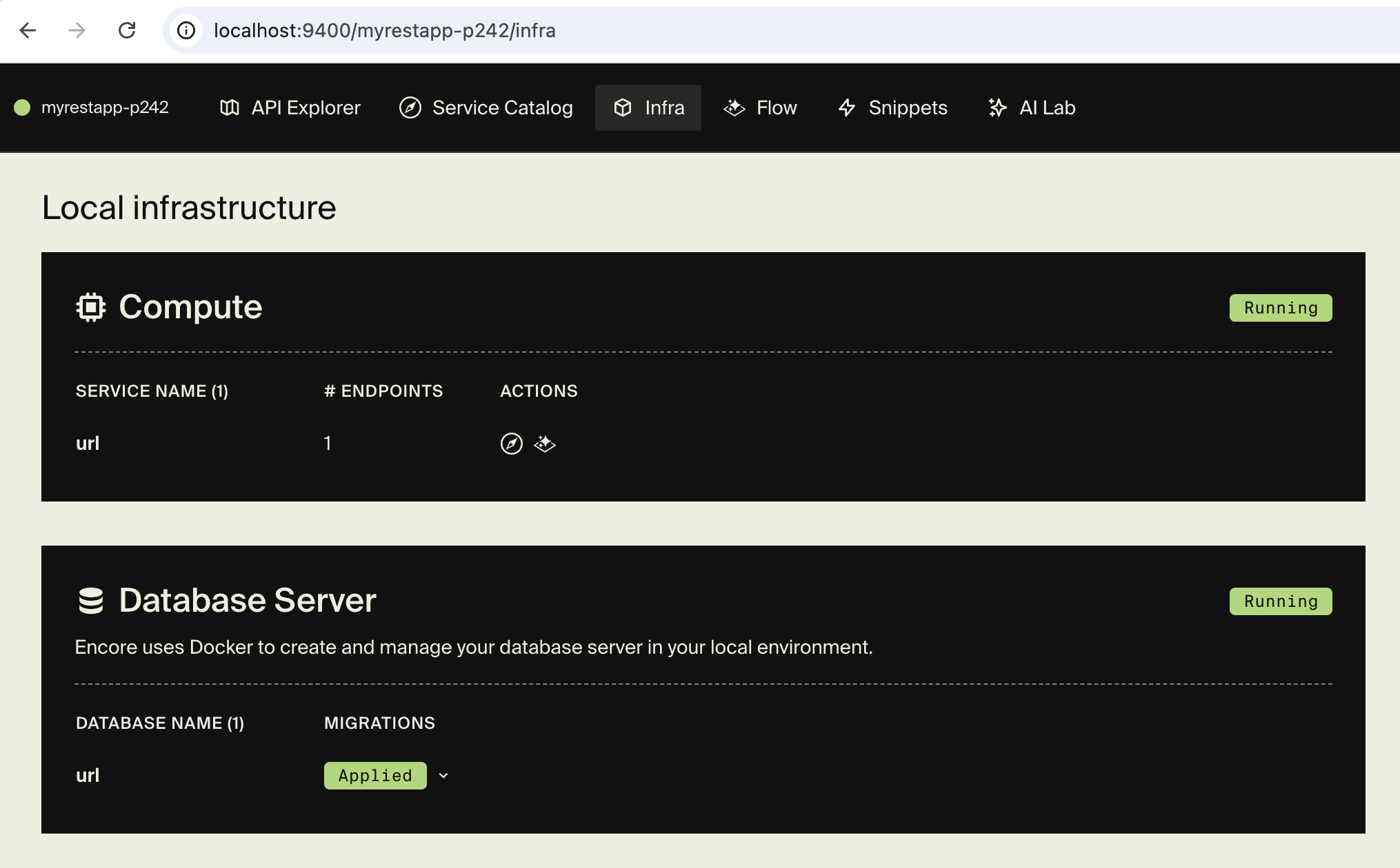 Infra tab in local development dashboard